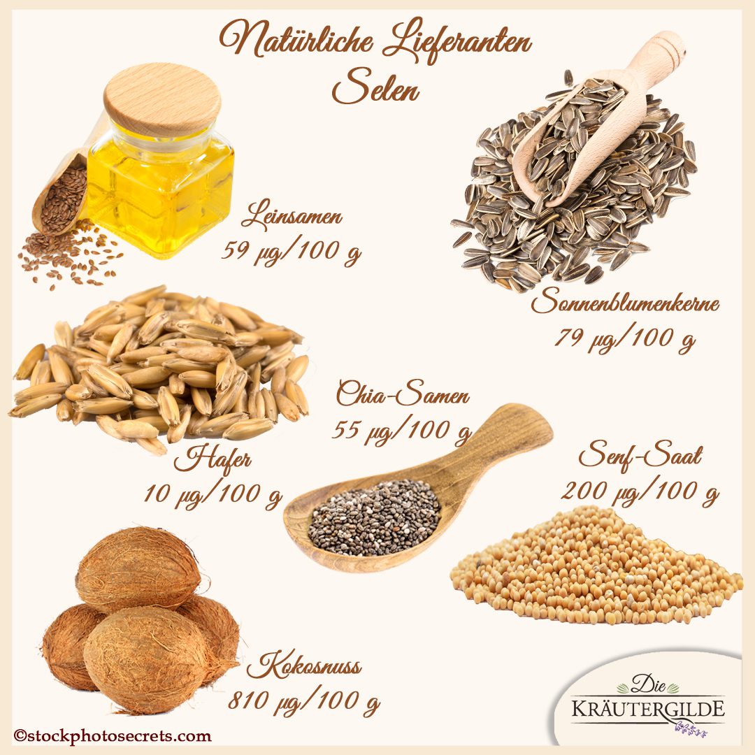 Natürliche Lieferanten SELEN